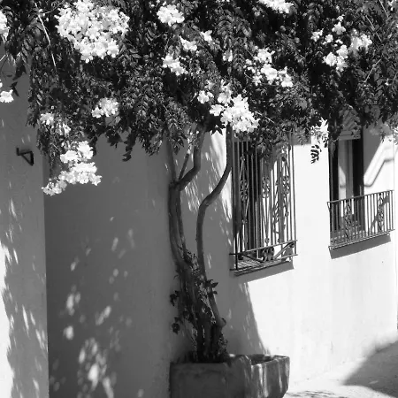 Des Traire Cadaqués